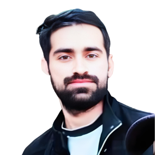 Tariq ali - Sales Executive at MS Vision